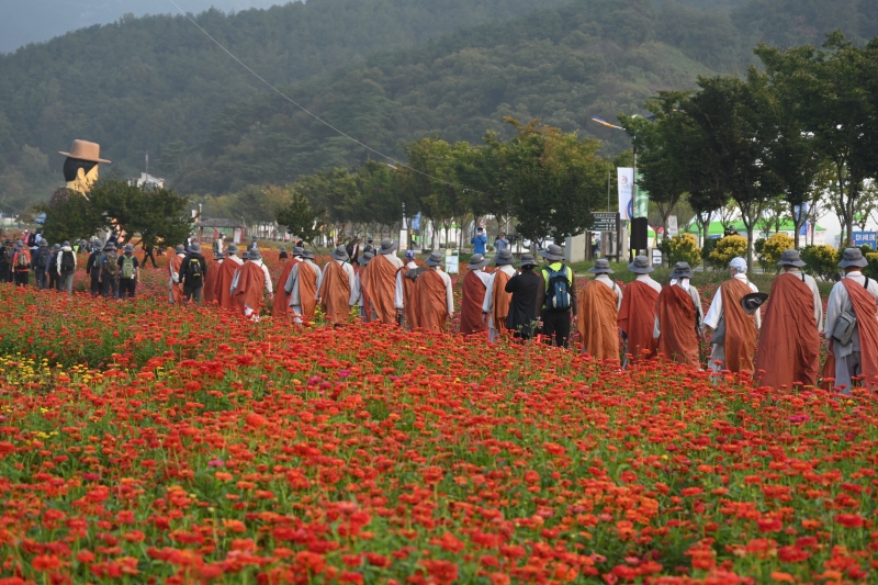 함양 상림을 지나고 있는 순례대중 (3)